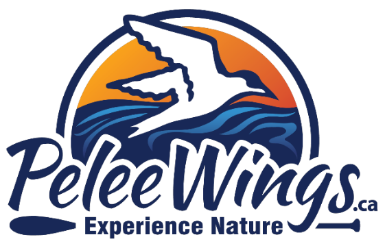 Pelee Wings Nature Store