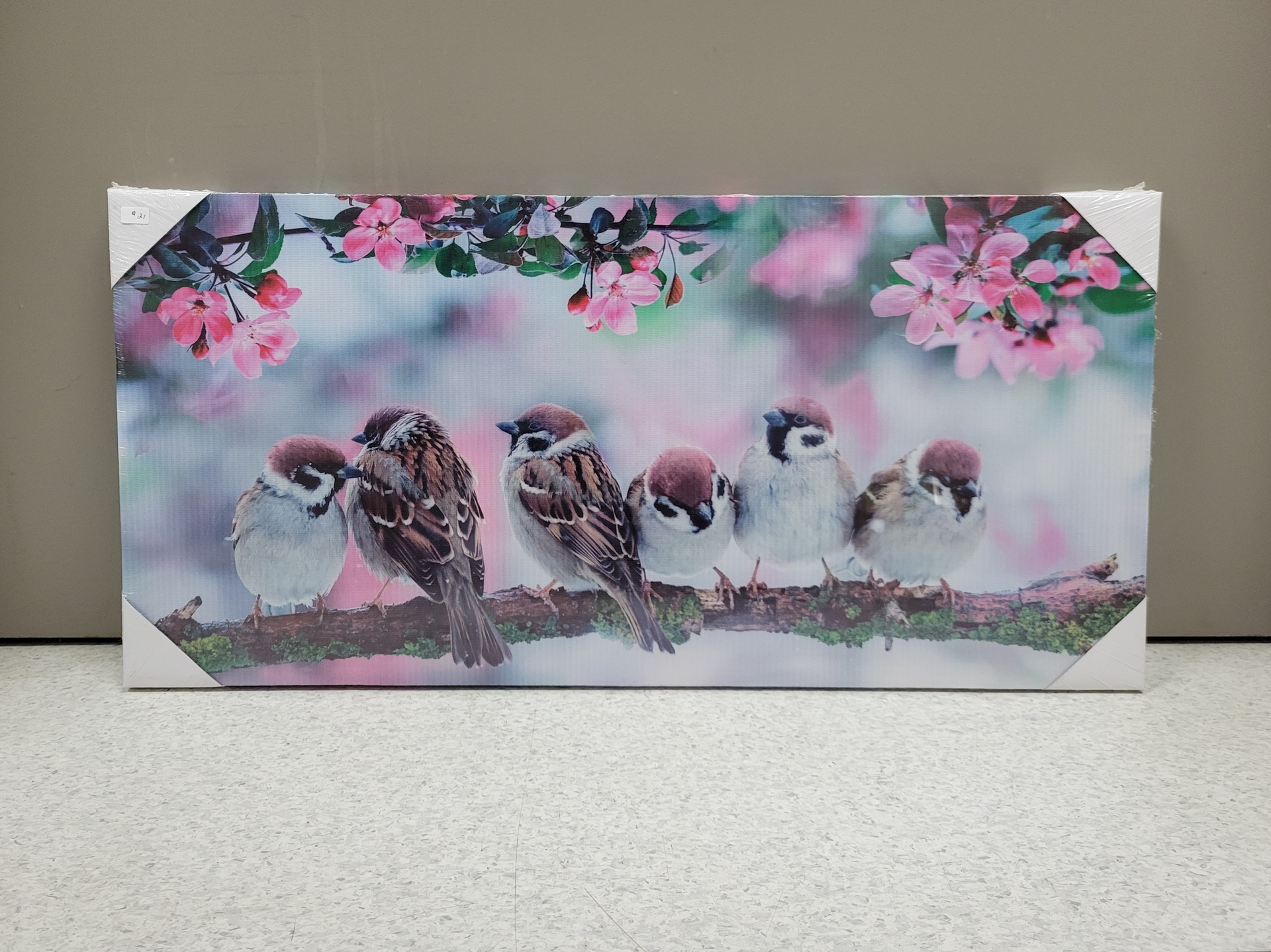 undefined image